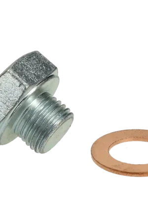 Afdichtbout Lambdasonde Tecnigas 12mm Snelle Levering