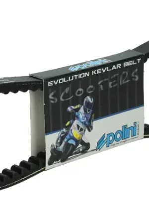 Betaalbaar V-Snaar Polini Speed Belt Evolution Kevlar Minarelli Lange motor (Speed Drive)