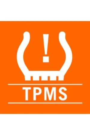 Tyre pressure monitoring system (TPMS) Express Levering