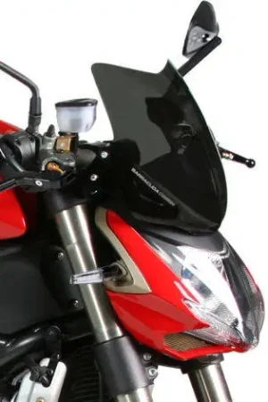 Lage Kosten Windshield Aerosport DS1300