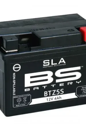 Beste Prijs BS-Battery BTZ5S-SLA
