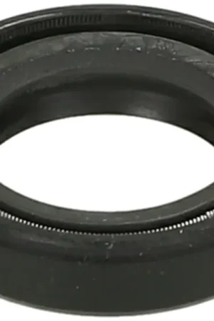 Seizoensaanbieding MKX - Keerring 20 x 31 x 7mm DGS (per stuk)